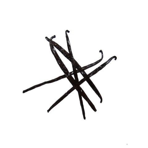 Vanilla Beans, Madagascar